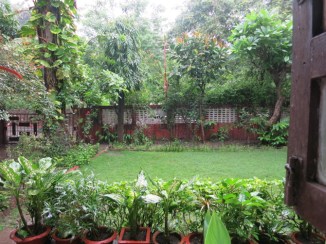 thebeautifulfrontgarden